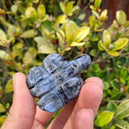 larvikite healing crystals hand carved tortoise dumiscrystals