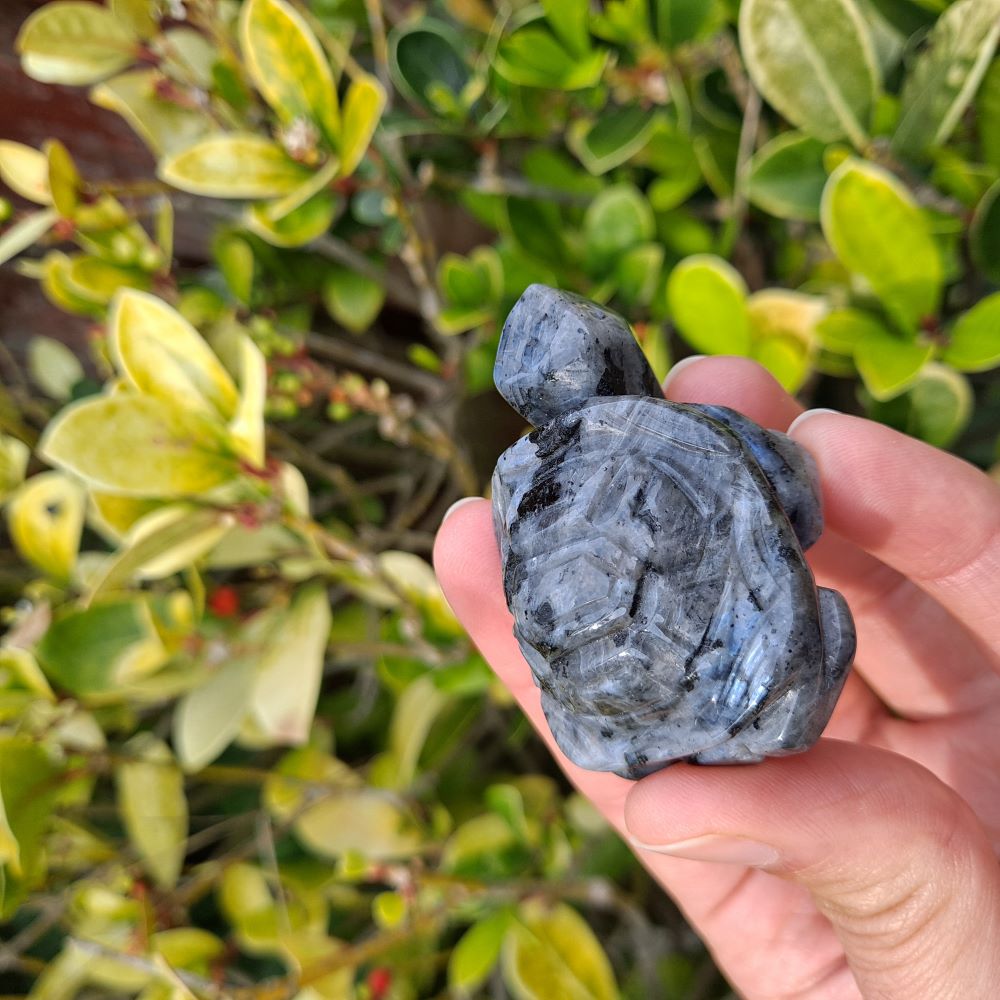 Larvikite Crystal Tortoise Carving: A beautiful and symbolic piece for meditation or home décor. (2 inches long)