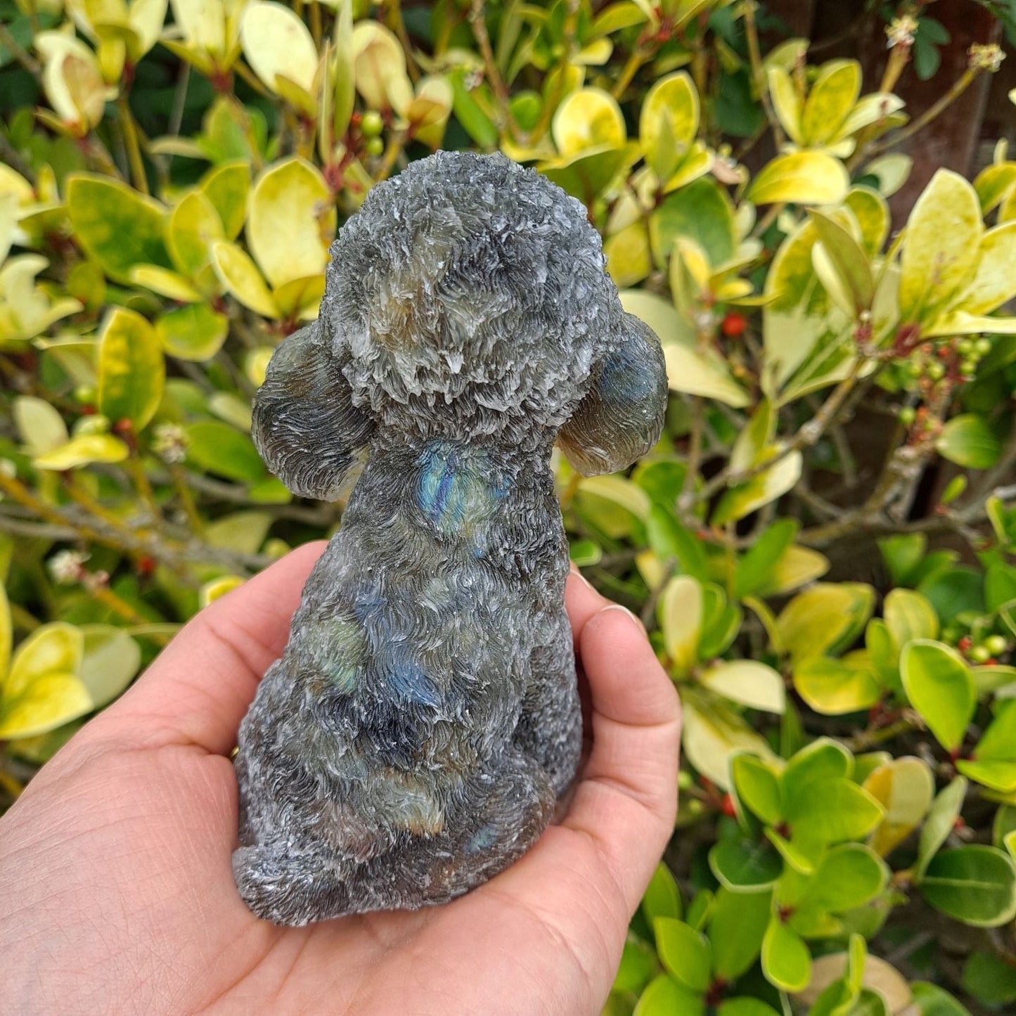 4.5 inch Labradorite crystal Poodle. Unique home accent or meditation companion with captivating iridescence.
