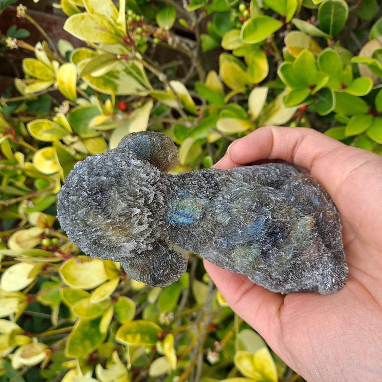 4.5 inch Labradorite crystal Poodle. Unique home accent or meditation companion with captivating iridescence.