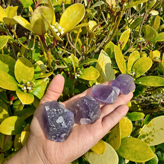Dumi's Crystals | Rough Purple Fluorite Crystals (Clarity & Growth) | A handful of Rough Purple Fluorite Crystals radiate calming energy. Renowned for promoting mental clarity, spiritual growth & emotional healing, hold them during meditation or carry them throughout the day to cultivate focus, peace & a deeper connection to your inner wisdom. Embrace serenity with Rough Purple Fluorite from Dumi's Crystals! 