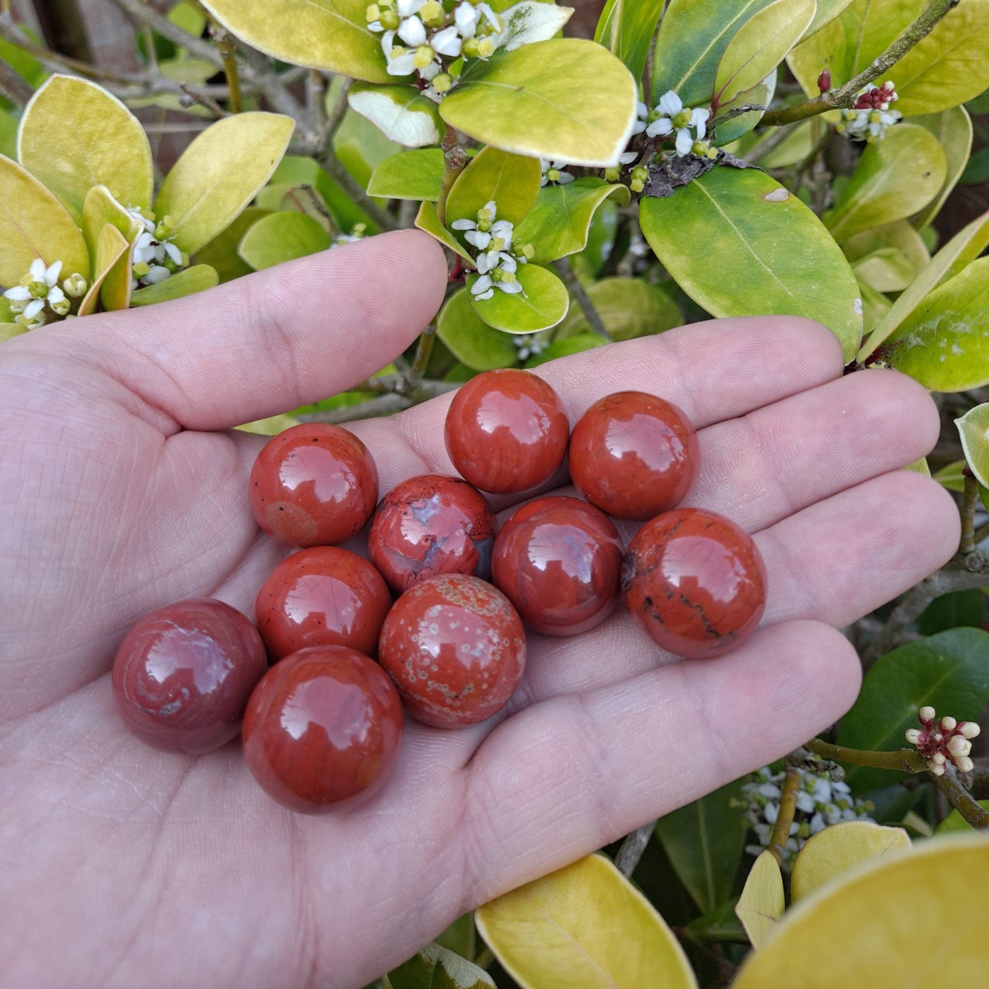 Dumi's Crystals | Red Jasper Mini Spheres (20mm) | A collection of captivating Red Jasper Mini Spheres, each displaying a variation in shade. These 20mm spheres are believed to promote grounding, stability, and inner strength. Perfect for meditation, crystal grids, or carrying with you throughout the day.