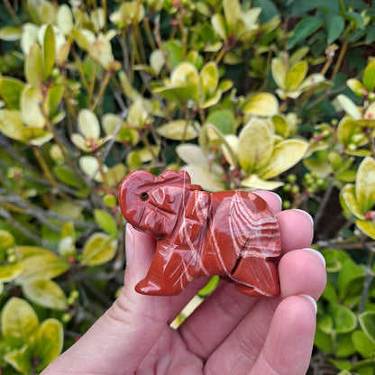Unleash Your Inner Strength: Dumi's Crystals Red Jasper Elephant Carvings. Genuine gemstones for grounding & confidence. 