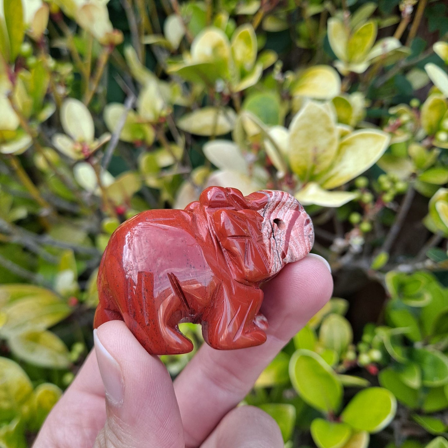 Red Jasper Power! Dumi's Crystals offers a variety of Elephant Carvings, each radiating courage, stability, and a touch of luck.