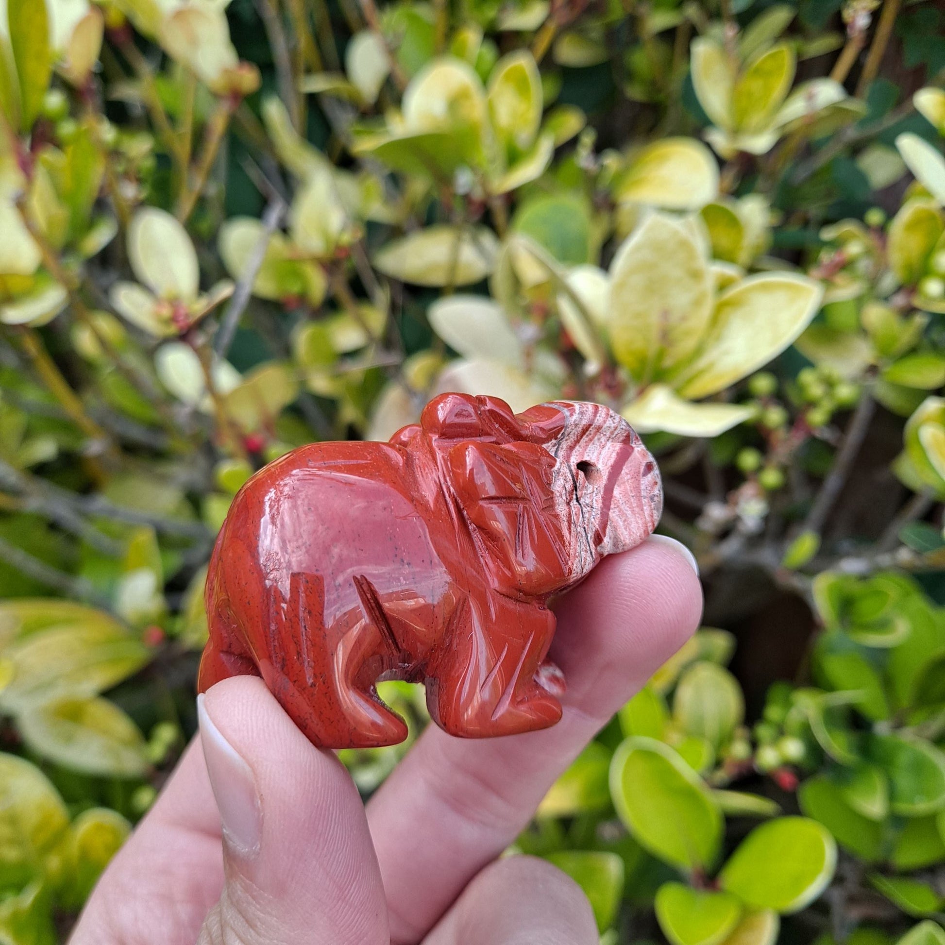 Red Jasper Power! Dumi's Crystals offers a variety of Elephant Carvings, each radiating courage, stability, and a touch of luck.