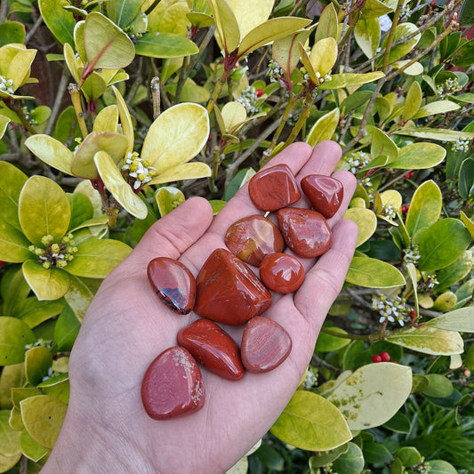 Dumi's Crystals | Red Jasper Tumbled Stones (Strength & Vitality) | A handful of Red Jasper Tumbled Stones radiate fiery hues. Known for promoting courage, resilience & grounding energy, hold them during meditation or carry them throughout the day to ignite your inner fire and navigate life's challenges with confidence.