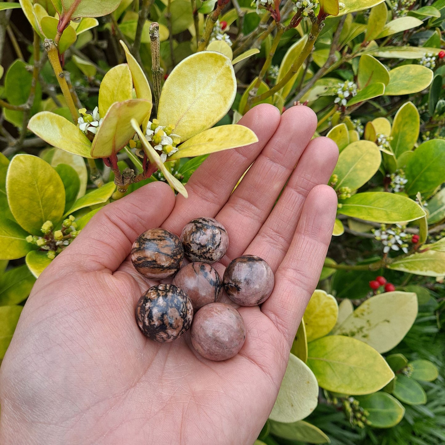 Dumi's Crystals | Rhodonite Mini Spheres (20mm) | A collection of captivating Rhodonite Mini Spheres (20mm), each displaying variations in their pink and black hues. These spheres are perfect for meditation, crystal grids, or carrying with you throughout the day to connect with their loving energy.
