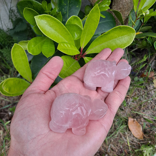 rose quartz healing crystals hand carved tortoise dumiscrystals