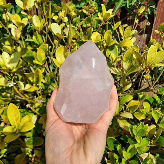 Rose Quartz Flame Carving: A glowing pink crystal flame for love, self-acceptance, and emotional healing. (3.5 inches tall)