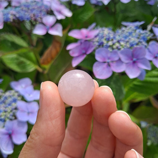 Dumi's Crystals | Rose Quartz Mini Sphere (20mm) | A close-up view of a captivating Rose Quartz Mini Sphere (20mm), showcasing its delicate pink hue and soft luster. This enchanting stone, known as the Stone of Unconditional Love, is believed to promote love, compassion, and emotional healing. It's thought to open the heart chakra, fostering self-love and deeper connections.