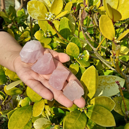 Dumi's Crystals | Rough Rose Quartz Crystals (Love & Healing) | A handful of Rough Rose Quartz Crystals radiate loving energy. Renowned for promoting self-love, emotional healing & stronger relationships, hold them during meditation or carry them throughout the day to cultivate love, compassion & inner peace. Embrace love with Rough Rose Quartz from Dumi's Crystals!