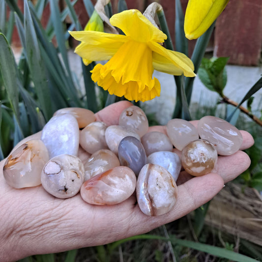Dumi's Crystals | Flower Agate Tumbled Stones (Growth & Peace) | A handful of Flower Agate Tumbled Stones, each a reminder of nature's beauty. Renowned for promoting inner peace, emotional balance & self-discovery, hold them during meditation or carry them throughout the day to cultivate a nurturing spirit and embrace positive growth.