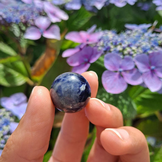 Dumi's Crystals | Sodalite Mini Sphere (20mm) | A close-up view of a captivating Sodalite Mini Sphere (20mm), showcasing its vibrant blue hues with flecks of white. This stone, known as the Stone of Logic, is believed to promote mental clarity, peace, and clear communication. It's also thought to reduce stress and boost confidence.