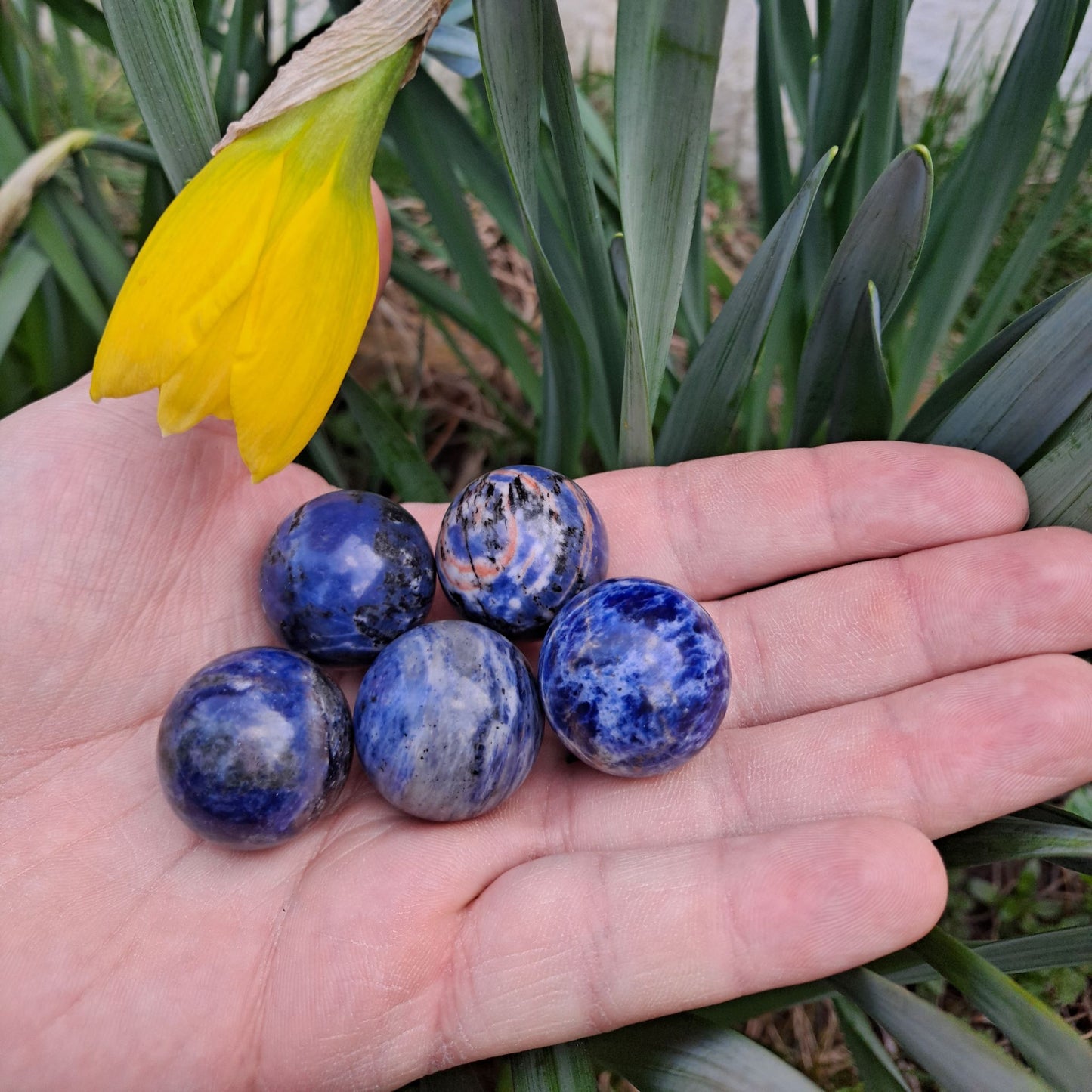 Dumi's Crystals | Sodalite Spheres (25mm) | A collection of captivating Sodalite Spheres (25mm), each displaying variations in their blue and white hues. These substantial spheres offer a striking presence, perfect for meditation, crystal grids, or adorning your altar.