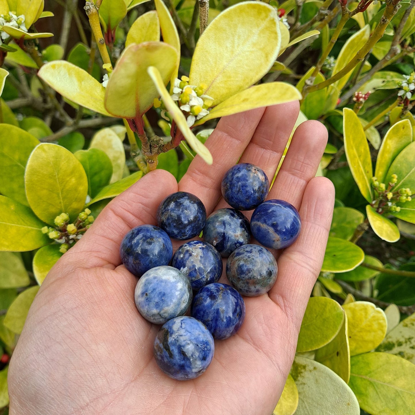 Dumi's Crystals | Sodalite Mini Spheres (20mm) | A collection of captivating Sodalite Mini Spheres (20mm), each displaying variations in their blue and white hues. These spheres are perfect for meditation, crystal grids, or carrying with you throughout the day to enhance mental focus and communication.