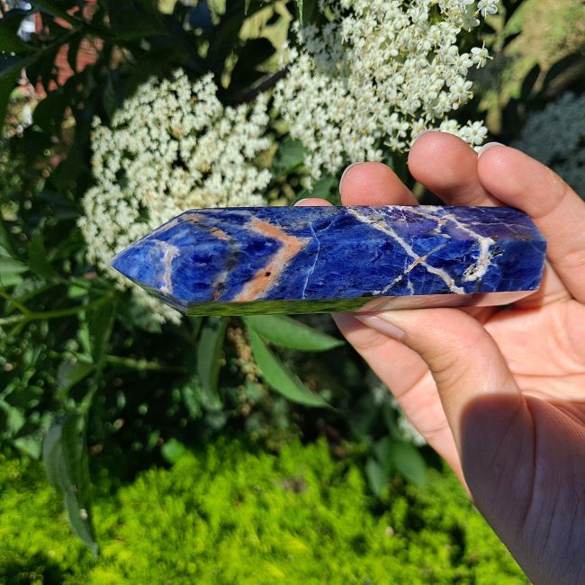Enhance your crystal collection or create a space overflowing with clarity & peace with Sodalite Towers (7-11cm) | Dumi's Crystals