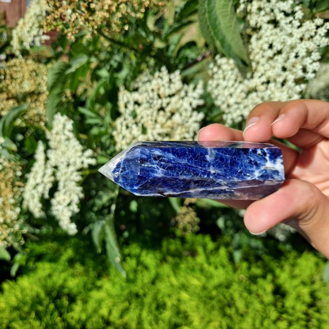 Enhance your crystal collection or create a space overflowing with clarity & peace with Sodalite Towers (7-11cm) | Dumi's Crystals | Available in various sizes for meditation, self-expression, or amplifying room energy. Sodalite is thought to promote focus, communication, and emotional balance.