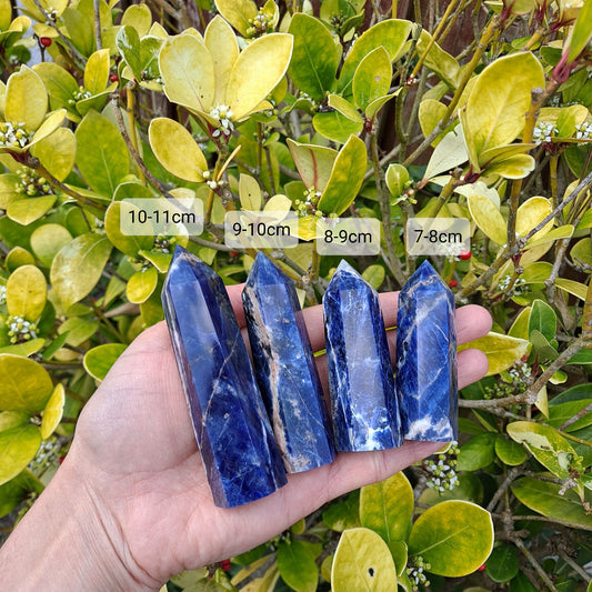 Dumi's Crystals | Sodalite Towers (7-11cm) | A collection of captivating Sodalite Towers (7-11cm) in various sizes (7-8cm, 8-9cm, 9-10cm, 10-11cm). Sodalite is believed to promote clarity, intuition, and inner peace. Choose the perfect size for your needs!