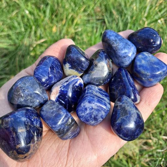 Dumi's Crystals | Sodalite Tumbled Stones (Inner Peace & Clarity) | A handful of Sodalite Tumbled Stones radiate deep blue hues with white accents. Known for promoting inner peace, intuition & mental clarity, hold them during meditation or carry them throughout the day to cultivate a calm and insightful mind.