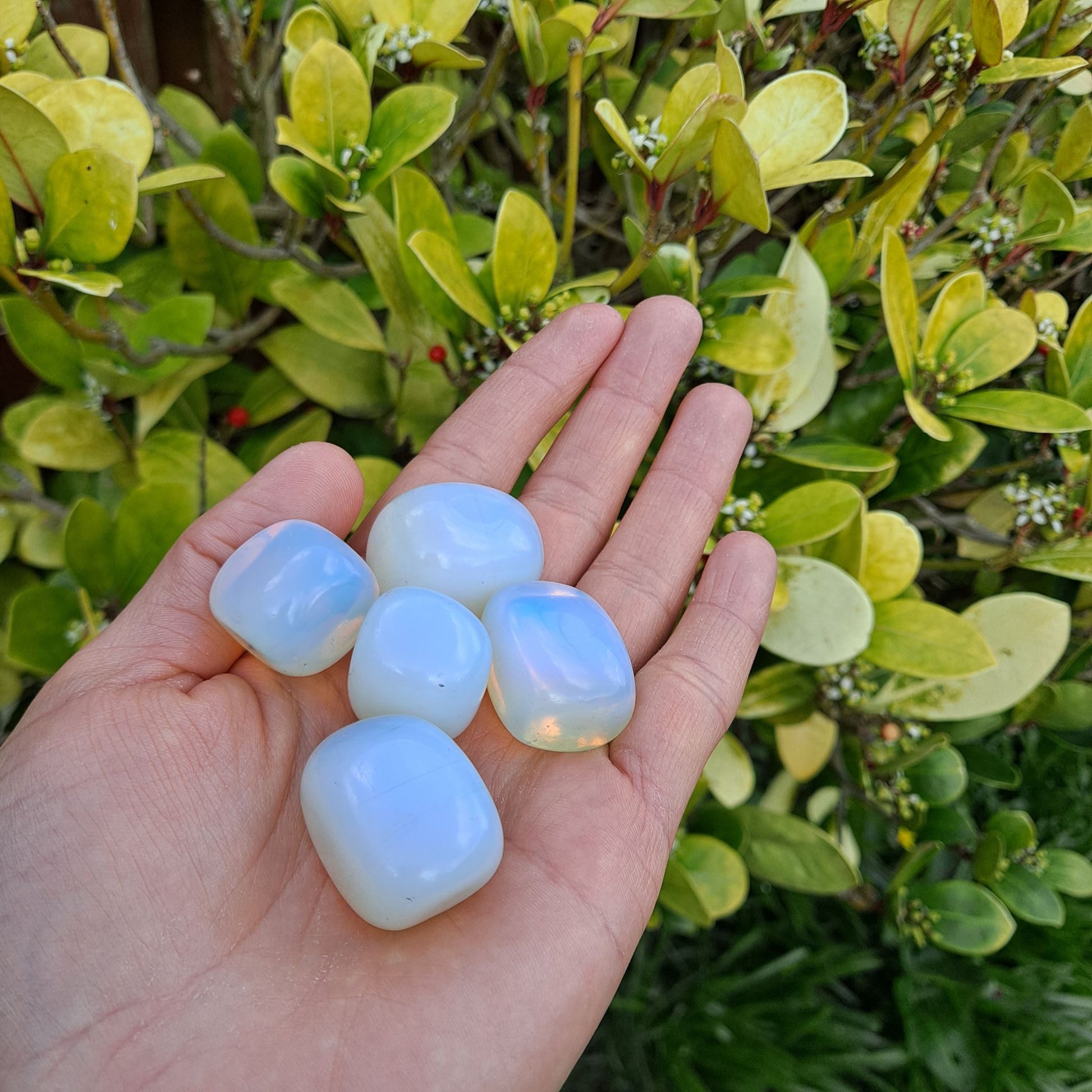 Dumi's Crystals | Square Opalite Tumbled Stones (Peace & Harmony) | A handful of Square Opalite Tumbled Stones, each a unique geometric treasure. Renowned for promoting calmness, reducing anxiety & fostering spiritual connection, hold them during meditation or carry them throughout the day to cultivate inner peace and a sense of balance.