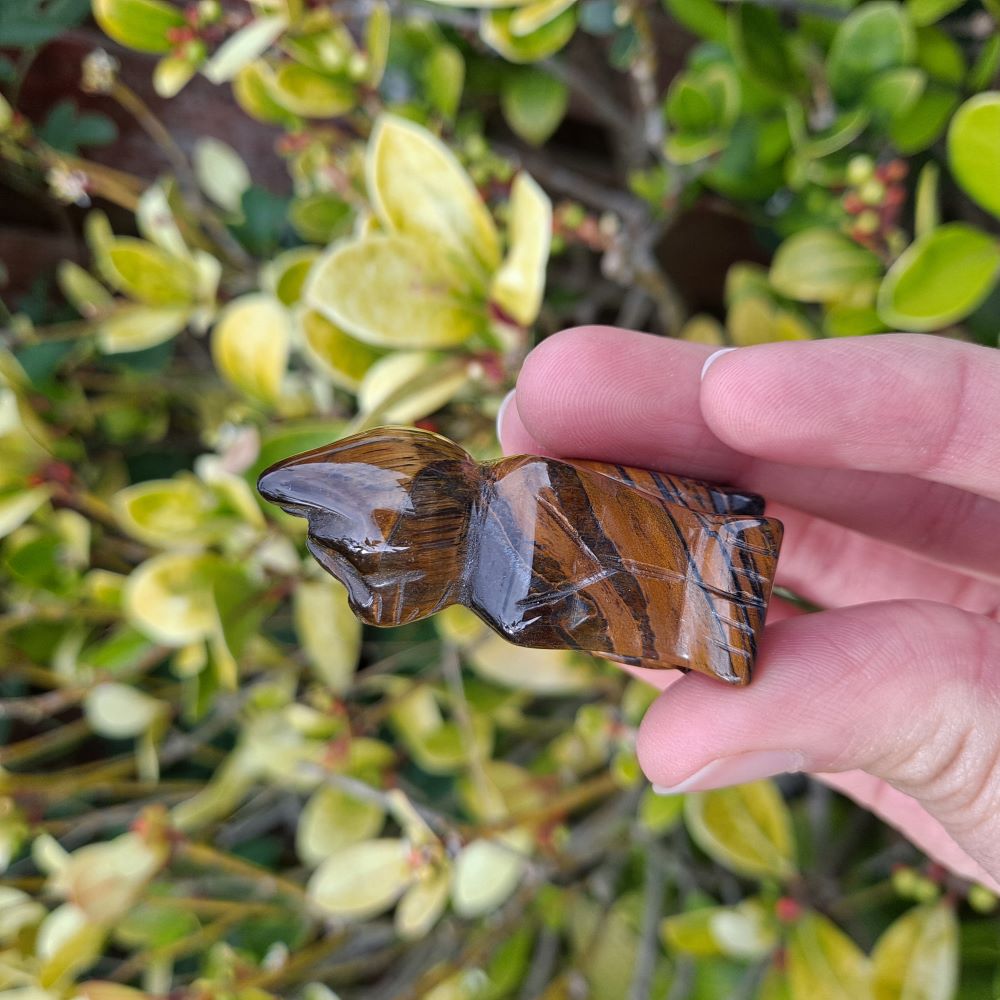 tiger's eye healing crystals hand carved cat dumiscrystals