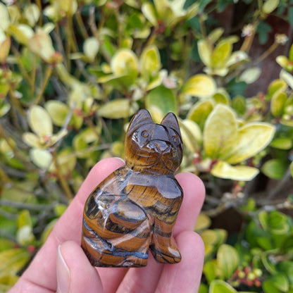 Tiger's Eye Cat Carving by Dumi's Crystals: A symbol of courage, focus, and feline spirit. (Single carving)
