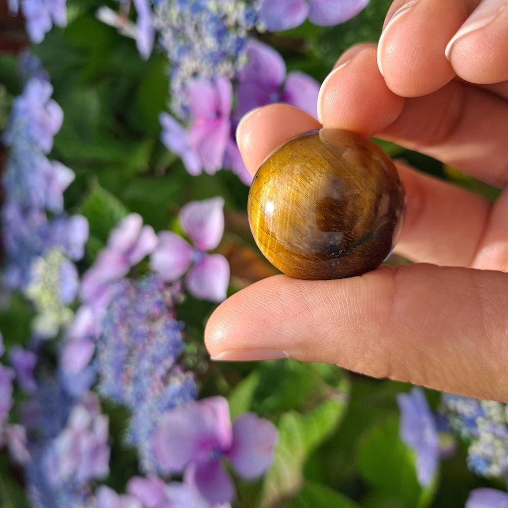 Dumi's Crystals | Tiger's Eye Sphere (25mm) | A close-up view of a captivating Tiger's Eye Sphere (25mm), showcasing its warm golden hues and chatoyant sheen. This substantial stone, known as the Stone of Courage, is believed to promote inner strength, confidence, and protection. It's also thought to enhance focus and keep you grounded.