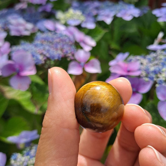 Dumi's Crystals | Tiger's Eye Sphere (25mm) | A close-up view of a captivating Tiger's Eye Sphere (25mm), showcasing its warm golden hues and chatoyant sheen. This substantial stone, known as the Stone of Courage, is believed to promote inner strength, confidence, and protection. It's also thought to enhance focus and keep you grounded.