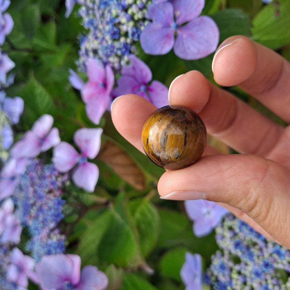 Dumi's Crystals | Tiger's Eye Mini Sphere (20mm) | A close-up view of a captivating Tiger's Eye Mini Sphere (20mm), showcasing its warm golden hues and chatoyant sheen. This powerful stone, known as the Stone of Courage, is believed to promote inner strength, confidence, and protection. It's also thought to enhance focus and keep you grounded.