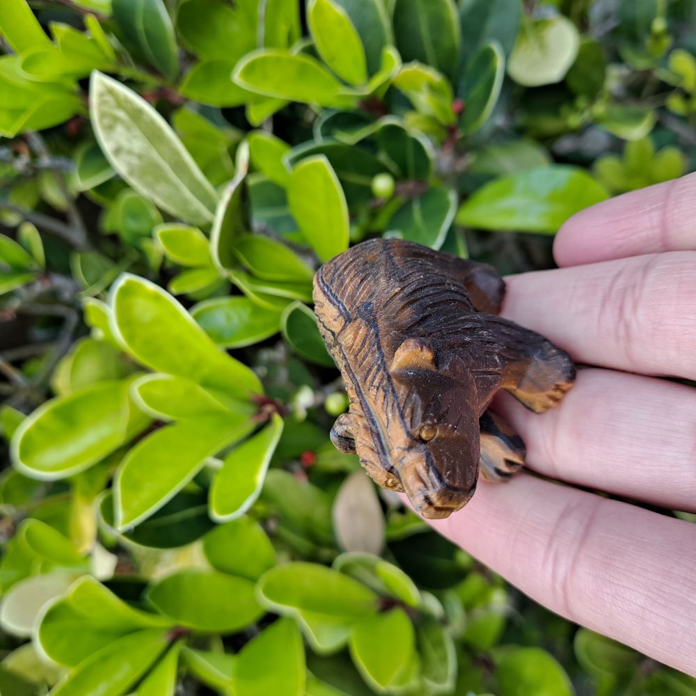 A Collection of Strength: Dumi's Crystals Tiger's Eye Bear Carvings, each unique & brimming with empowering energy.