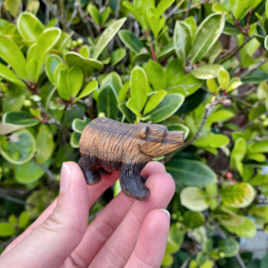 tiger's eye healing crystals hand carved bear dumiscrystals