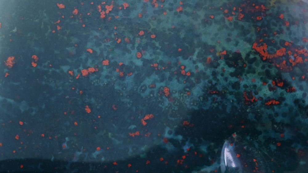 Unlocking the Mysteries of Bloodstone: Composition, Meaning, Healing Properties, Benefits and More