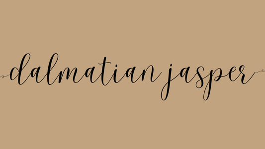 the words dalmatian jasper on a light brown background