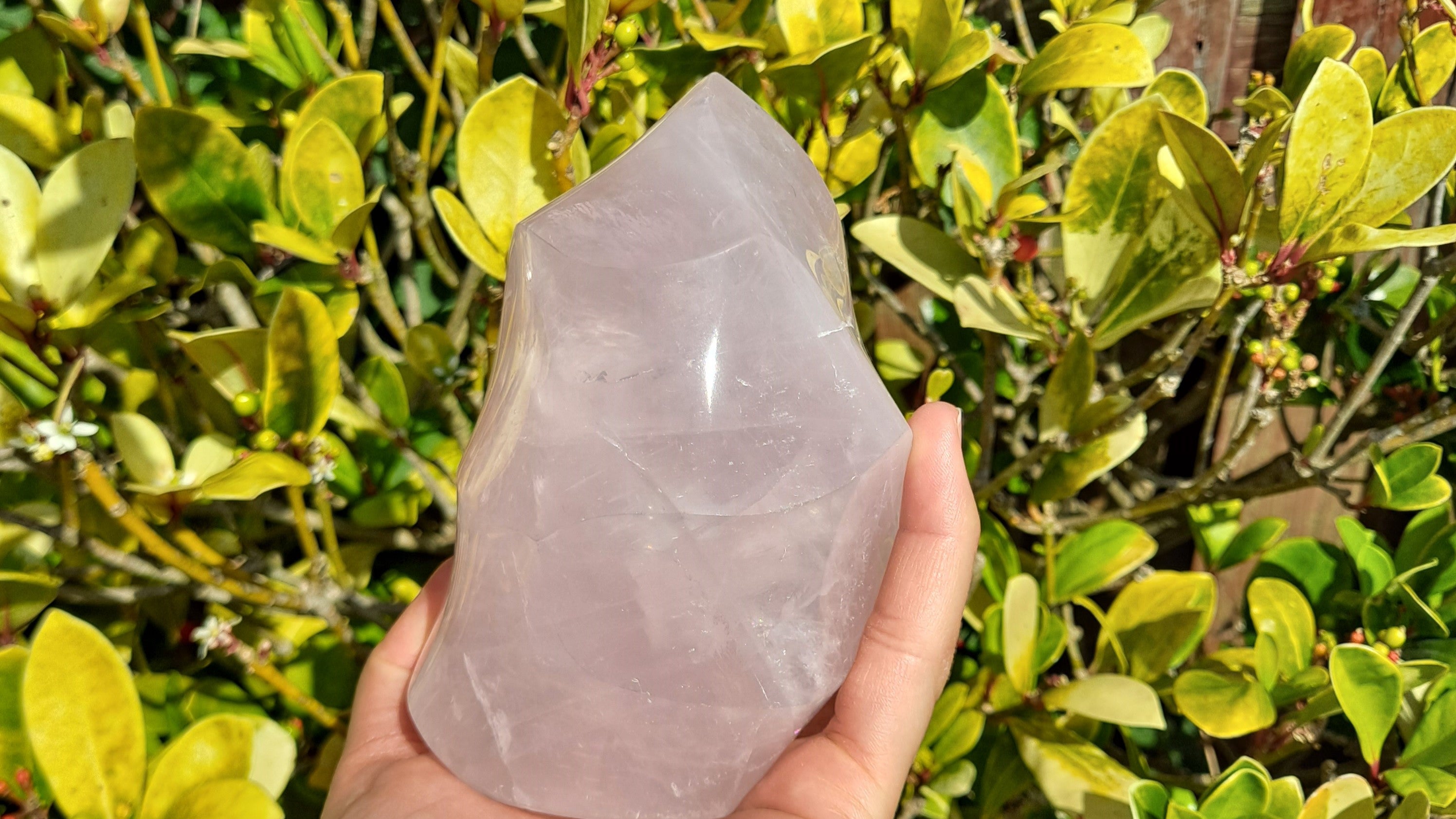 Rose Quartz: Meaning, Healing Properties, Uses, and Facts | DUMI'S ...