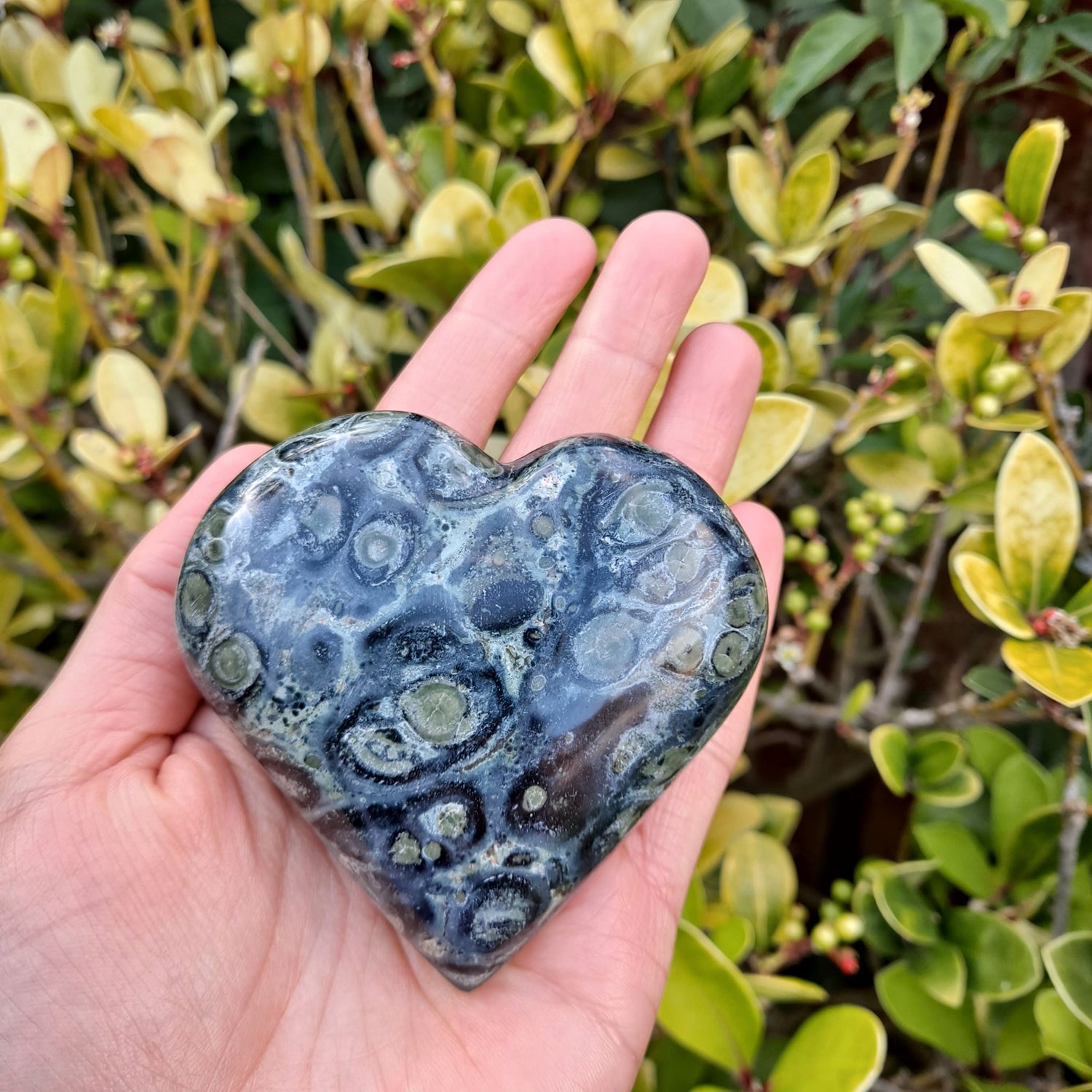 hand showing a green and black kambaba jasper heart, green and yellow leaves in the background