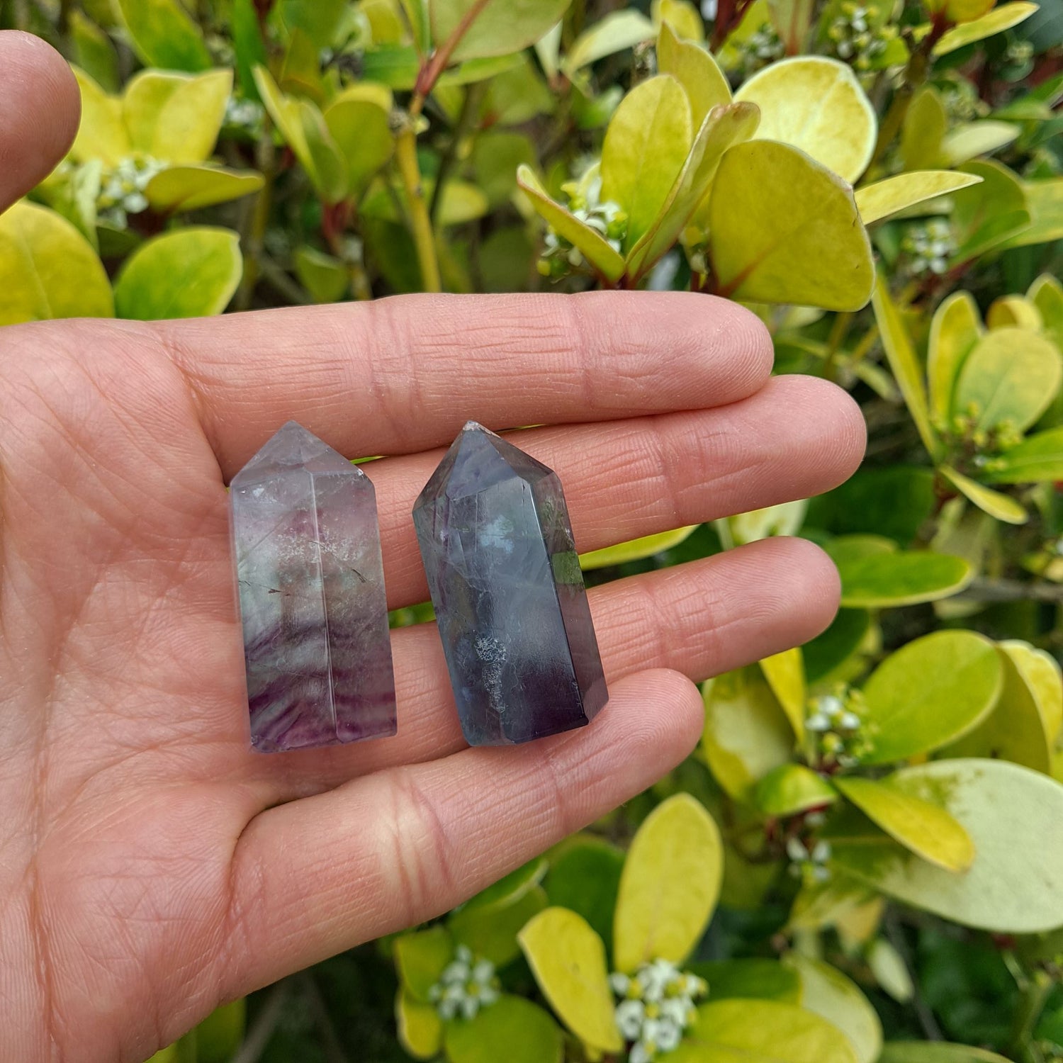 hand showing 2 mini rainbow fluorite towers, green leaves in the background