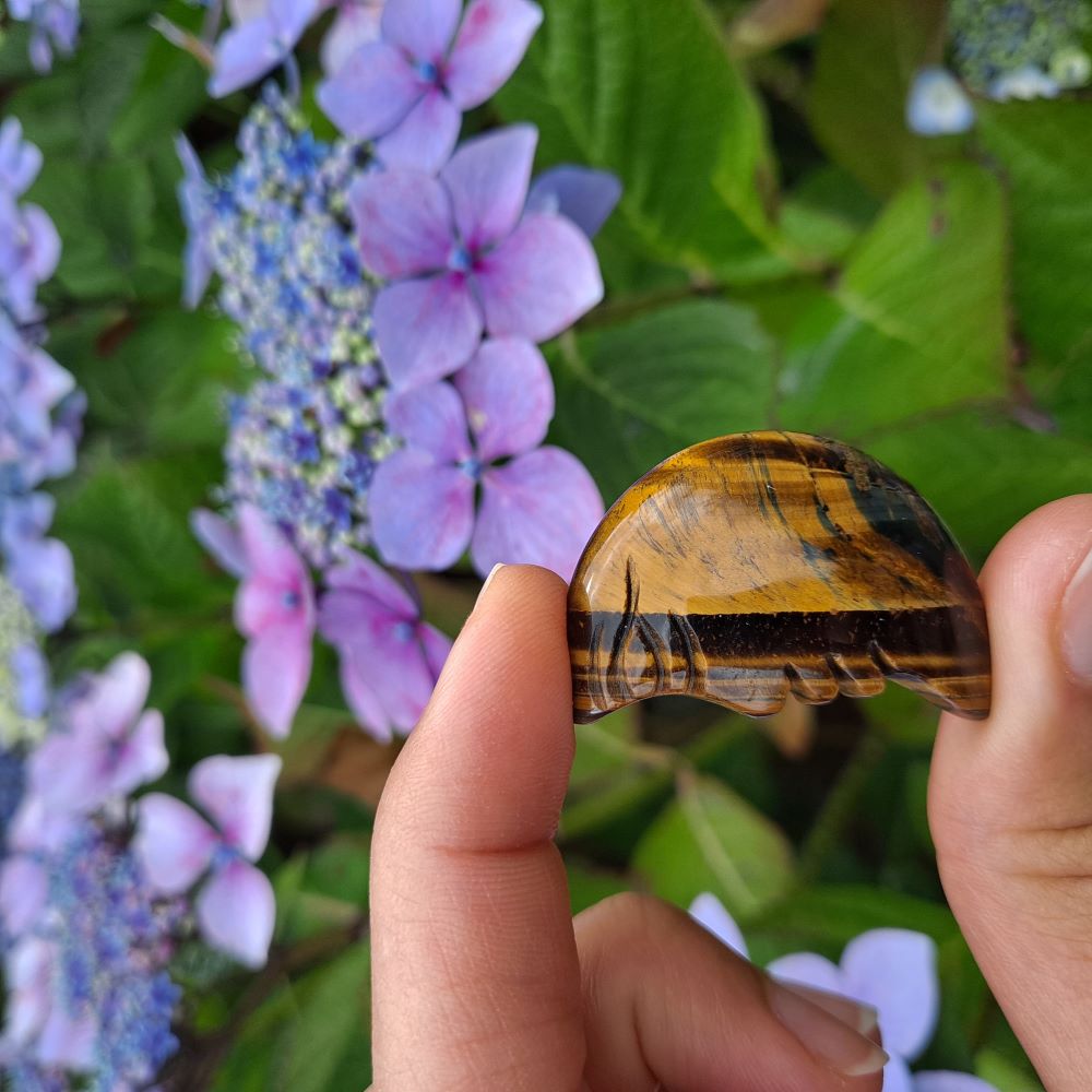 golden tiger's eye moon face carving is held between two fingers, green leaves and purple flowers in the background