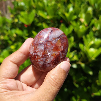Hand holding a polished fire quartz palm stone with a natural marbled pattern against a green leafy background