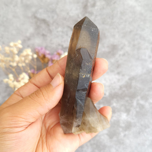 A hand holding a irradiated smoky quartz crystal point against a textured gray background with blurred dried flowers.