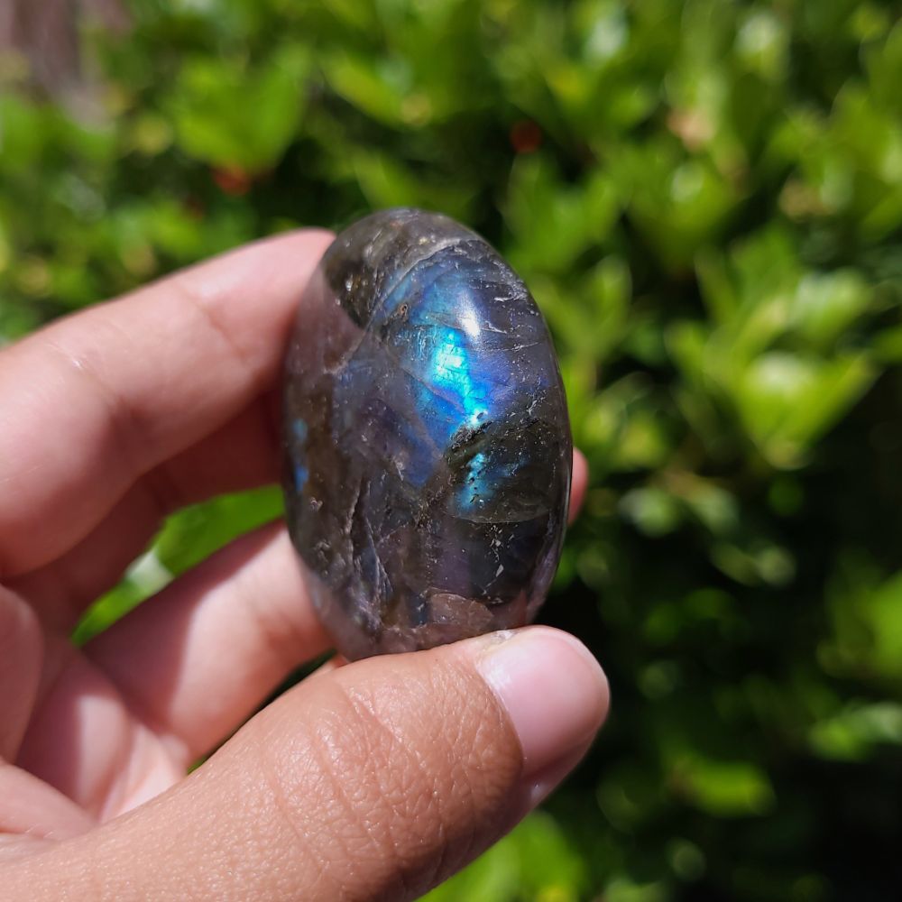 Hand holding a labradorite stone with a green leafy background