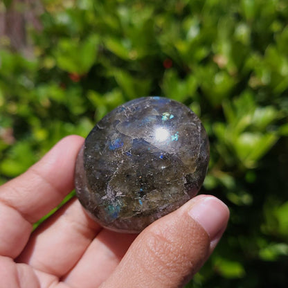 Person holding a labradorite stone with a blurred green leafy background