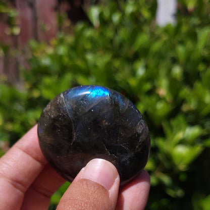 Person holding a dark stone with reflective surface against a blurred green background