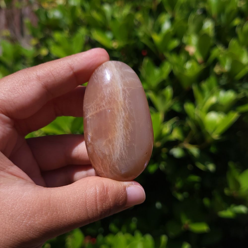 Hand holding a smooth, oval-shaped peach moonstone palm stone against a green leafy background