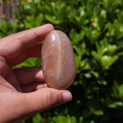 Hand holding a smooth, oval-shaped peach moonstone palm stone against a green leafy background