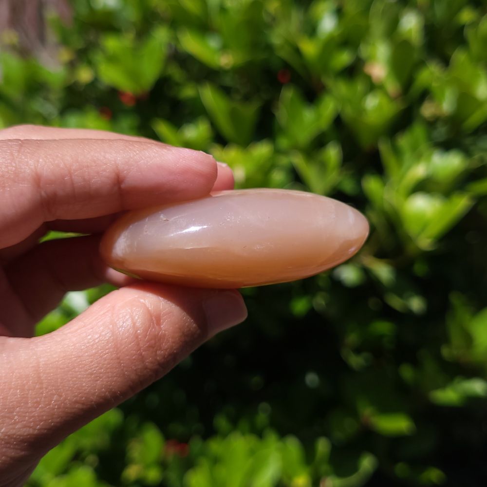 Hand holding a smooth, oval-shaped peach moonstone palm stone with a green blurred background