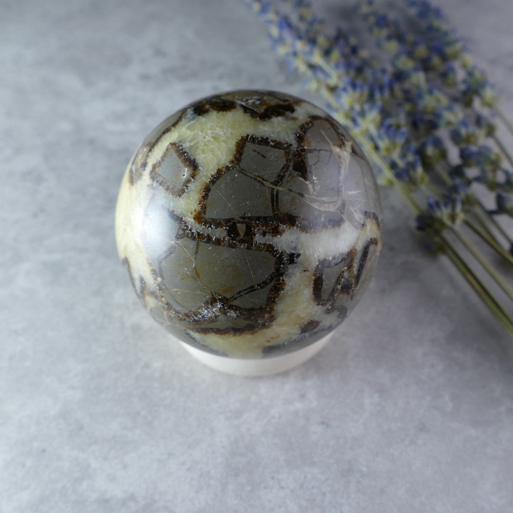 Septarian Crystal Sphere - Dumi's Crystals - Natural wonder! This 57mm sphere (252g) showcases the beauty of Septarian (Dragon Stone) with golden calcite, brown aragonite, and grey limestone. 