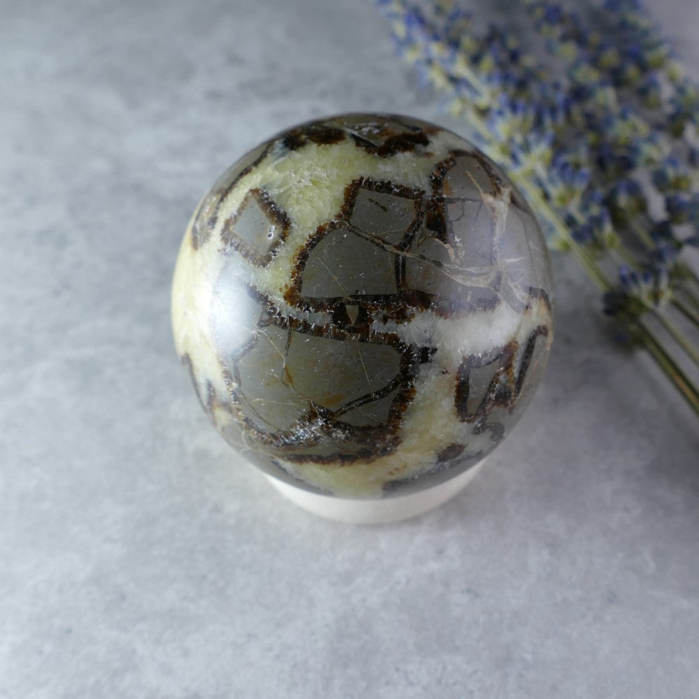 Dragon Stone Sphere - Dumi's Crystals - Earth's history in your hand! This Septarian sphere (57mm, 252g) features captivating patterns of calcite, aragonite, and limestone.  