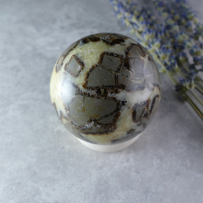 Dragon Stone Sphere - Dumi's Crystals - Earth's history in your hand! This Septarian sphere (57mm, 252g) features captivating patterns of calcite, aragonite, and limestone.  