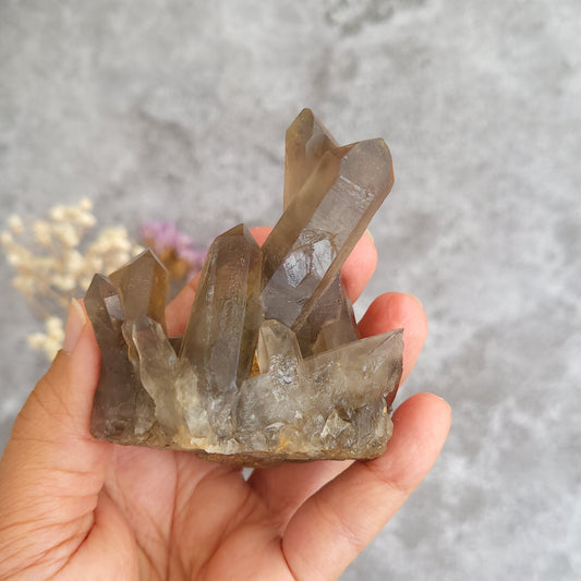 A hand holding a natural smoky quartz crystal cluster against a soft gray textured background with blurred dried flowers.