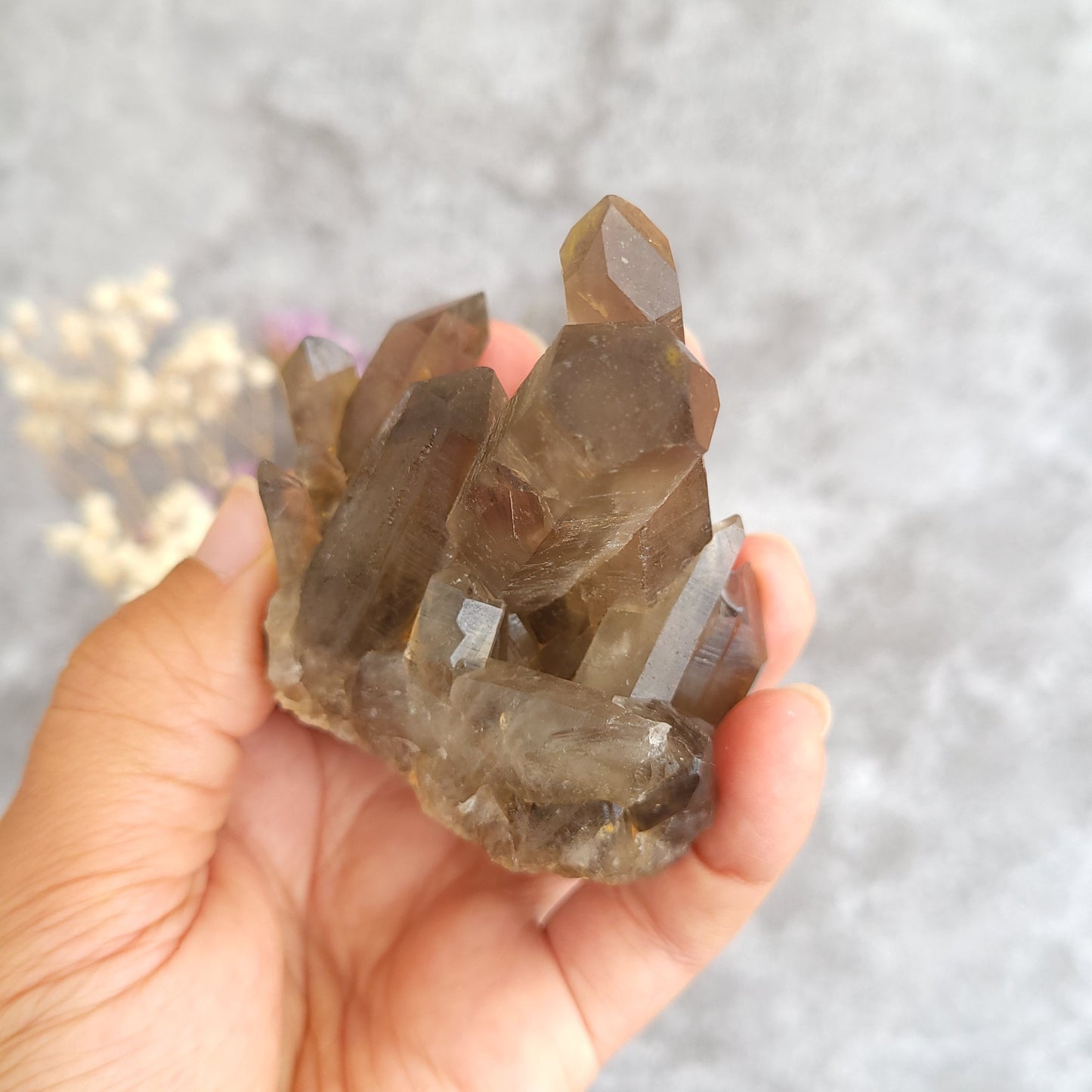 A hand holding a cluster of smoky brown and translucent crystal points against a soft gray textured background.